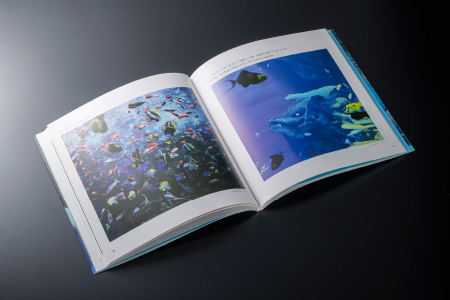 AQUAS アクアスの仲間たち 小林茂雄写真集【KS-1】本 写真集 1冊 雑貨 日用品 しまね海洋館アクアス 海洋館 水族館 海の動物 動物 海の生き物 生き物 イルカ ペンギン サメ エイ 魚 魚介類