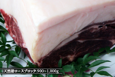 江の川shishi ブロックセット 2.7kg～3kg【AI-3】｜送料無料 国産 ジビエ 天然ジビエ お肉 肉 いのしし肉 イノシシ肉 猪肉 ジビエ イノシシ ジビエ イノシシ ジビエ イノシシ ジビエ イノシシ ジビエ イノシシ ジビエ イノシシ ジビエ イノシシ ジビエ モモ バラ ロース ブロック肉 ブロック ブロックセット セット スジ無し 煮込み用 角煮 焼肉 焼き肉  BBQ 冷凍 希少｜