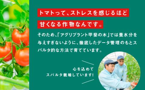 【訳あり】スパルタ生まれの笑ちゃん フルーツトマト 約2.3kg【配送不可：離島】【GC-16】