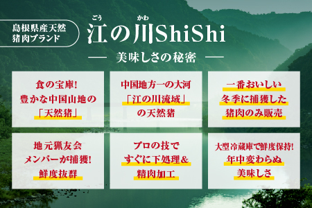 天然猪 江の川shishi 猪モモスライス 焼肉用 500g （ 2～3人前 ） AI-6 いのしし肉 イノシシ肉 猪肉 猪 モモ肉 スライス ジビエ