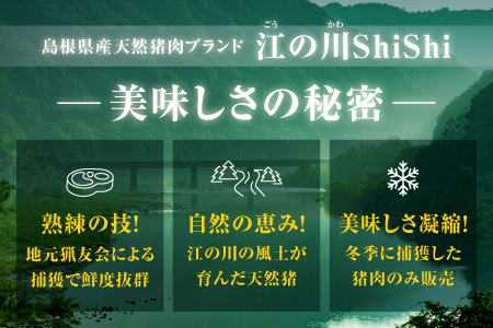 天然猪ローススライス すき焼き用 500g AI-8 肉 猪 猪肉 天然猪 ジビエ 天然ジビエ 国産 天然 ロース ロース肉 スライス すき焼き用 すき焼き 鍋 AI-8