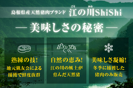 天然猪ローススライス 焼き肉用 500g AI-9 猪肉 いのしし肉 イノシシ肉 ジビエ ロース ロース肉 スライス 焼き肉用 焼き肉 焼肉 500g 贈り物 贈答品