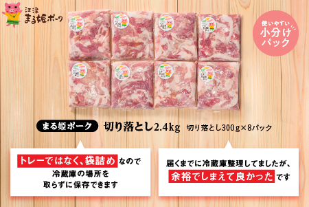 【12/31迄限定寄附額】国産豚肉 まる姫ポーク 切り落とし 2.4kg （300ｇ×8パック） 国産 豚肉 切り落とし 小分け 冷凍 AK-19