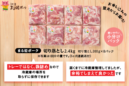 【12/31迄限定寄附額】【定期便5ヶ月】国産豚肉 まる姫ポーク 切り落とし 2.4kg ×5回 配送 【計12kg】 AK-20 小分け 豚肉 切り落とし 冷凍 5ヶ月 定期便