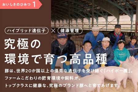 【12/31迄限定寄附額】【 5ヶ月定期便 】 まる姫ポーク 豚肉 まるごと味わいセット 2.4kg （ロース生姜焼き用 肩ローステキカツ用 バラスライス 粗ミンチ）  5回配送 【計12kg】 AK-32