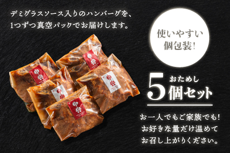 【お試しあれ！！】贅沢 デミグラス ハンバーグ 140g×5個 (計700g) CO-2 個包装 湯煎 レンチン 電子レンジ おかず 調理済み 温めるだけ 真空パック