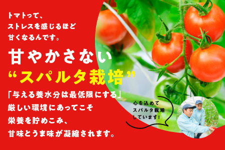 スパルタ生まれの笑ちゃん の トマトジュース 500ｇ×12本 GC-32 笑ちゃん とまとジュース トマトジュース ジュース 野菜飲料 野菜ジュース ミニトマト フルーツトマト とまと トマト