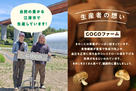 【先行予約】【農家直送】 江津市産 菌床 生しいたけ 200g×5袋 (計1kg) 【2026年11月～4月より順次発送】 GO-2 ｜ 江津市産 国産 生 椎茸 シイタケ しいたけ 菌床椎茸 菌床 肉厚 小分け 食べ応え 厚い 肉厚 うまみ 香り 濃厚 旨味 栄養豊富 食物繊維 低カロリー 鍋 炒め物 煮物 グリル 炊き込みご飯 家庭用