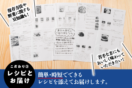 【期間限定】 新鮮 愛情たっぷり 果物 ＆ 野菜 セット 詰め合わせ 産地直送 おまかせ やさい 果物 旬 季節 SP-1