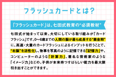 江津市限定返礼品 かな絵ちゃん日本語セット＋DVD SC-56 送料無料 しちだ 七田式 幼児 言葉 フラッシュカード カードフラッシュ DVD 右脳 思考力 子育て 教育 教材 教材セット 勉強 子ども キッズ 知育 学べる セット トレーニング 知育トレーニング プレゼント 贈り物