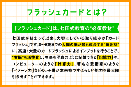 江津市限定返礼品 かな絵ちゃん英語セット＋DVD SC-57 送料無料 しちだ 七田式 幼児 英語 言葉 フラッシュカード フラッシュカード DVD 右脳 思考力 子育て 教育 教材 教材セット 勉強 子ども キッズ 知育 学べる セット トレーニング 知育トレーニング プレゼント 贈り物 学習 学び 息子 娘 孫 ひ孫