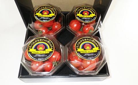 【ギフト用】スパルタ生まれの笑ちゃんトマト (200g×4パック入) GC-1