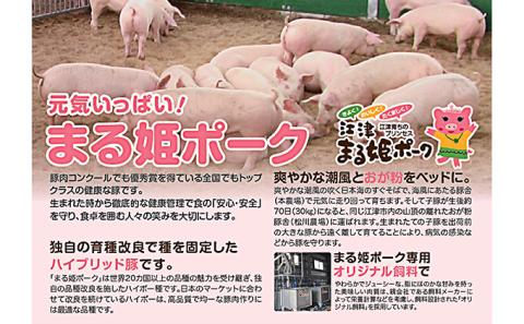 5カ月定期便 まる姫ポーク ヒレブロック（約550g×2）・ローススライス（300g×3）約2kg以上×5回（計約10kg）【AK-42】｜送料無料 国産 まる姫ポーク 豚肉 ぶた肉 ぶたにく 肉 ヒレブロック  ローススライス  肉 豚肉 肉 豚肉 肉 豚肉 肉 豚肉 肉 豚肉 BBQ 定期便 小分け パック 江津市｜