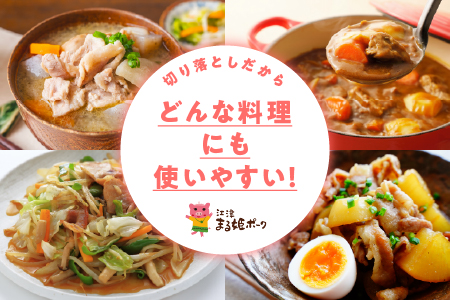 【12/31迄限定寄附額】【 10ヶ月 定期便 】 まる姫ポーク 豚肉 切り落とし 2.4kg × 10回配送 （計24kg）AK-21 小分け 冷凍 切り落とし 定期便