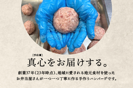 贅沢 デミグラス ハンバーグ 10個×2回 (計 2.8kg)【定期便】CO-4 国産牛 牛肉 豚肉 個包装 湯煎 レンチン 電子レンジ おかず 調理済み 温めるだけ 真空パック