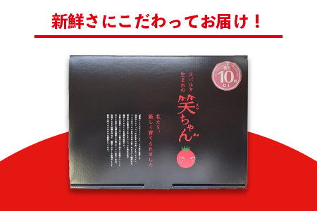 【先行予約】☆ 糖度 １0度以上 ☆ 厳選 スパルタ生まれの笑ちゃん フルーツトマト 約1kg 【GC-35】 お届け：4月中旬～6月中旬ごろ順次発送 笑ちゃん トマト フルーツトマト 野菜 完熟 新鮮 冷蔵