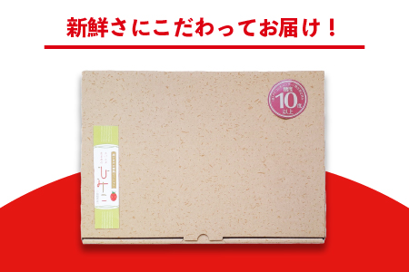 【先行予約】 ☆ 糖度 10度以上 ☆ 厳選 スパルタ生まれのひみこ ミニトマト 約1kg 【GC-36】 お届け：4月中旬～6月中旬ごろ順次発送
