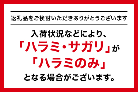 熟成 しまね和牛＆和牛ハラミ・サガリセット(ロース 約180g、もも 約180g、和牛ハラミ・サガリ 約140g)計500g【JK-6】｜送料無料 ギフト ロース もも ハラミ サガリ A4ランク A4 熟成 熟成肉 しまね和牛 和牛 牛肉 牛 お肉 肉 にく 肉 セット 贅沢 豪華 焼肉 BBQ お取り寄せ お取り寄せグルメ グルメ 内祝い 贈物 プレゼント｜