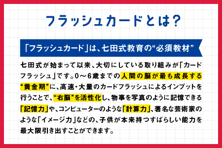 江津市限定返礼品 七田式ドッツセット SC-55 送料無料 しちだ 七田式 右脳 記憶力 カード 幼児 計算力 フラッシュカード 子育て 教育 教材 教材セット 勉強 こども 子ども キッズ 知育 学べる セット トレーニング 知育トレーニング プレゼント 孫 ひ孫