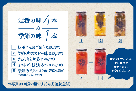 【定期便3回】やまあいピクルス 定番4本＋季節1本(おまかせ)×3回分【YP-4】送料無料 ピクルス ぴくるす 野菜 やさい 果物 くだもの フルーツ 旬 果物 野菜果物 ドレッシング ビネガードリンク ごぼう きゅうり ミニトマト 健康 常温保存 詰め合わせ 定期便