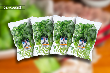 江津クレソン鍋 セット 2回分（計約1.4kg）【YS-12】｜国産 まる姫ポーク 豚肉 肉 ロース肉 豚バラ肉 ロース バラ 豚バラ肉 ゴウツクレソン クレソン しゃぶしゃぶ しゃぶしゃぶセット 豚しゃぶ 野菜 かつおだしつゆ 柚子醤油 お鍋 鍋 送料無料 鍋 しゃぶしゃぶ 鍋 しゃぶしゃぶ 鍋 しゃぶしゃぶ 鍋 しゃぶしゃぶ｜