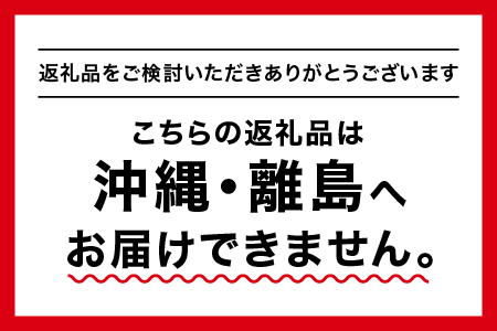 大亀醤油 濃口うす塩醤油 1L×2本セット(計2L)【YS-14】大亀醤油 国産 醤油 濃口 うす塩｜