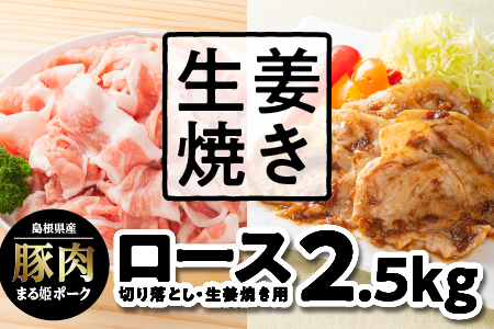 まる姫ポーク 豚ロース生姜焼き用（200g×5）・ロース切り落とし（300g×5）計2.5kg【AK-51】江津市 豚肉 豚
