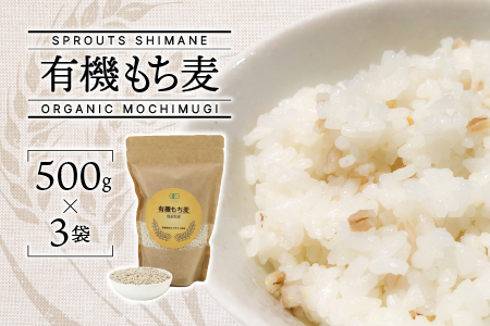 有機もち麦 500g入り×3袋（1500g） 無農薬 有機 有機栽培 もち麦 麦 雑穀 穀類 SS-4