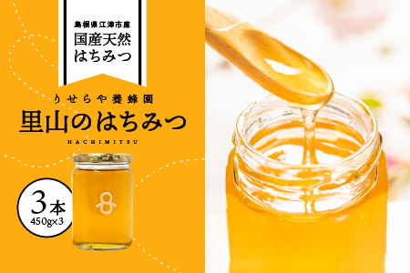里山 の はちみつ 3本 (450g×3本) セット RY-10 国産 国産はちみつ 天然 非加熱 純粋 はちみつ ハチミツ 蜂蜜 HONEY Honey ハニー 瓶 パン ヨーグルト