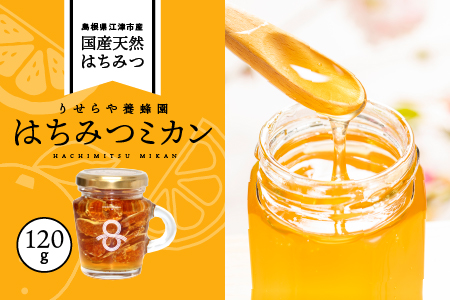 はちみつミカン 120g (1本) RY-1 国産はちみつ 国産 天然 非加熱 純粋 はちみつ ハチミツ 蜂蜜 みかん ミカン 蜜柑 蜂蜜漬け ハチミツ漬け はちみつ漬け ドライフルーツ