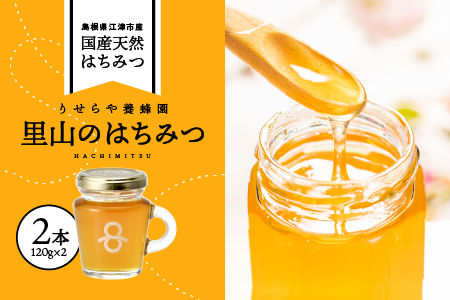 里山のはちみつ (120g×2本) セット 計240g RY-4 国産はちみつ 国産 天然 非加熱 純粋 ハチミツ 蜂蜜 プレゼント 贈答 贈り物 ギフト