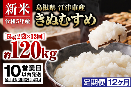 【定期便12か月】 島根県 江津市産 邑智郡産 きぬむすめ 10㎏×12回【合計120kg】令和5年産 新米 白米【10営業日以内配送】