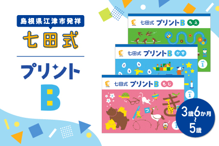 江津市限定返礼品 七田式プリントB 3歳半～5歳 SC-50 送料無料 しちだ 七田式 3歳 4歳 5歳 就学前 幼児 子育て 教育 教材 こども 子ども キッズ 知育 プリント 勉強 短時間 学べる セット トレーニング 知育トレーニング 贈答用 プレゼント 学習 学び 息子 娘 孫 ひ孫 贈り物