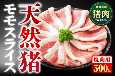 天然猪 江の川shishi 猪モモスライス 焼肉用 500g （ 2～3人前 ） AI-6 いのしし肉 イノシシ肉 猪肉 猪 モモ肉 スライス ジビエ