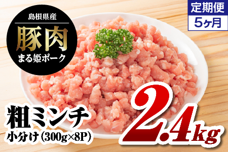 【12/31迄限定寄附額】【 5カ月 定期便 】 まる姫ポーク 豚肉 粗ミンチ 2.4kg × 5回配送 【計12kg】 AK-35 定期 国産 ミンチ 小分け パック 冷凍