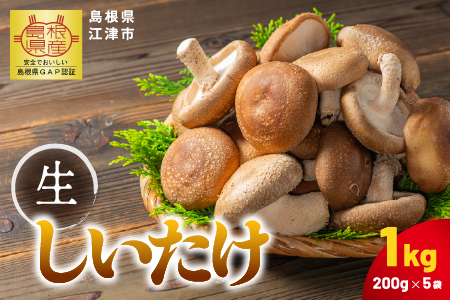 【先行予約】【農家直送】 江津市産 菌床 生しいたけ 200g×5袋 (計1kg) 【2026年11月～4月より順次発送】 GO-2 ｜ 江津市産 国産 生 椎茸 シイタケ しいたけ 菌床椎茸 菌床 肉厚 小分け 食べ応え 厚い 肉厚 うまみ 香り 濃厚 旨味 栄養豊富 食物繊維 低カロリー 鍋 炒め物 煮物 グリル 炊き込みご飯 家庭用