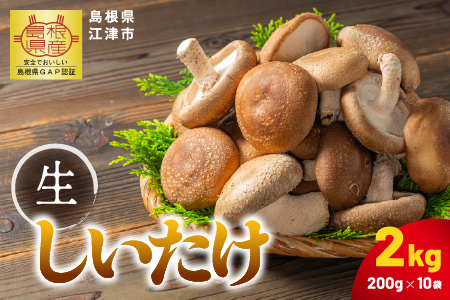 【先行予約】【農家直送】 江津市産 菌床 生しいたけ 200g×10袋 (計2kg) 【2026年11月～4月より順次発送】 GO-3 ｜ 江津市産 国産 生 椎茸 シイタケ しいたけ 菌床椎茸 菌床 肉厚 小分け 食べ応え 厚い 肉厚 うまみ 香り 濃厚 旨味 栄養豊富 食物繊維 低カロリー 鍋 炒め物 煮物 グリル 炊き込みご飯 家庭用