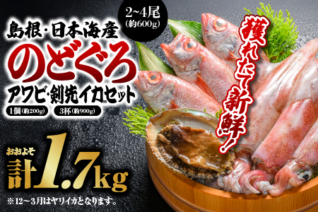 鮮魚セットA [のどぐろ2〜4尾(約600g)・アワビ(約200g×1)・イカ(約300g×3)]計約1.7kg[YM-1]|のどぐろ アワビ イカ 島根 山陰 日本海産 魚介類 魚貝類 貝 海産物 魚 さかな あわび ノドグロ 鮮魚 剣先イカ ヤリイカ 煮付け 焼き魚 刺身 送料無料 魚 海鮮 のどぐろ あわび アワビ イカ 魚 海鮮 のどぐろ あわび アワビ イカ 魚 海鮮 のどぐろ あわび アワビ イカ