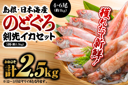 鮮魚セットB[のどぐろ4〜6尾(約1kg)・イカ(約300g×5)]計約2.5kg[YM-2]|のどぐろ イカ 島根 山陰 日本海産 魚介類 魚貝類 海産 海産物 魚 さかな いか ノドグロ 鮮魚 剣先イカ ヤリイカ 下処理済 煮付け 焼き魚 刺身 さしみ 厳選 送料無料 魚 海鮮 のどぐろ イカ 魚 海鮮 のどぐろ イカ 魚 海鮮 のどぐろ イカ 魚 海鮮 のどぐろ イカ 魚 海鮮 のどぐろ イカ