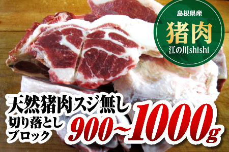 江の川shishi 切り落とし ブロック 900g〜1000g |ジビエ イノシシ ジビエ イノシシ ジビエ イノシシ ジビエ イノシシ ジビエ イノシシ ジビエ イノシシ ジビエ イノシシ ジビエ イノシシ ジビエ イノシシ ジビエ イノシシ ジビエ イノシシ ジビエ イノシシ ジビエ イノシシ ジビエ イノシシ ジビエ イノシシ ジビエ イノシシ ジビエ イノシシ ジビエ イノシシ ジビエ イノシシ