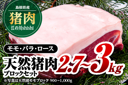 江の川shishi ブロックセット 2.7kg〜3kg[AI-3]|送料無料 国産 ジビエ 天然ジビエ お肉 肉 いのしし肉 イノシシ肉 猪肉 ジビエ イノシシ ジビエ イノシシ ジビエ イノシシ ジビエ イノシシ ジビエ イノシシ ジビエ イノシシ ジビエ イノシシ ジビエ モモ バラ ロース ブロック肉 ブロック ブロックセット セット スジ無し 煮込み用 角煮 焼肉 焼き肉 BBQ 冷凍 希少