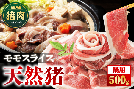 天然猪 江の川shishi 猪モモスライス 鍋用 500g （ 2～3人前 ） AI-5 いのしし肉 イノシシ肉 猪肉 猪 モモ肉 スライス ジビエ 鍋