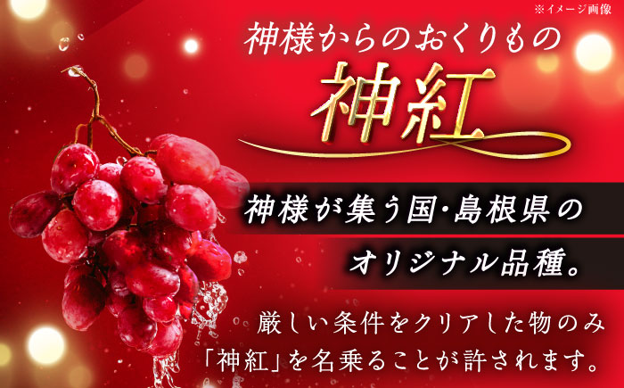 【2026年先行予約】【8月初旬頃から順次発送】【秀品】神紅・シャインマスカット 各1房 計1kg以上 島根県雲南市/池田ぶどう農園 フルーツ 果物 ぶどう セット 食べ比べ 贈答用 　 [AIAA004]