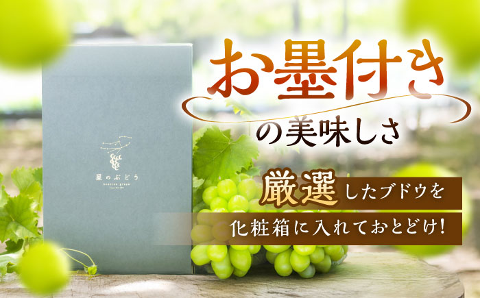 【2026年先行予約】【50個限定】【贈答用】旬の味わいを産地直送で！シャインマスカット 2房（約1kg）秀品・化粧箱入り 島根県雲南市/ギアファーム [AIAB001]
