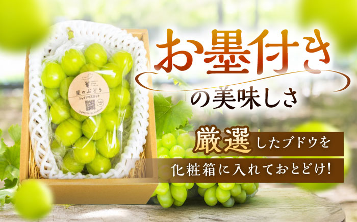 【2026年先行予約】【15個限定】【贈答用】旬の味わいを産地直送で！シャインマスカット 1房（約500g）秀品・化粧箱入り 島根県雲南市/ギアファーム [AIAB003]