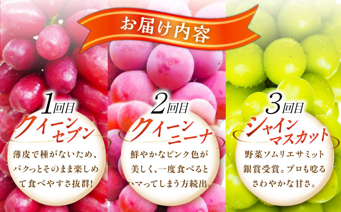 【全3回定期便】【2026年先行予約】【30個限定】【自宅用】毎月ぶどうをお届け！イチオシ3品種 各2房  島根県雲南市/ギアファーム [AIAB011]