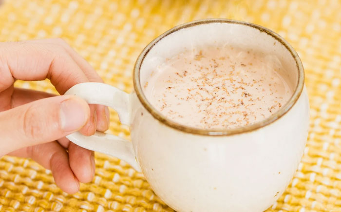 希釈用スパイスドリンクシロップ クラフトコーラ チャイ 100ml×3本セット 手作り ジュース ソフトドリンク 飲料 無添加 健康 島根県雲南市/出雲SPICE LAB. [AIAD007]