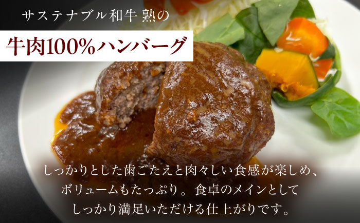銀のハンバーグ デミグラスソース 150g×4個 サステナブル和牛 牛肉 加工品 ギフト包装 島根県雲南市/株式会社熟豊ファーム [AIAT020]