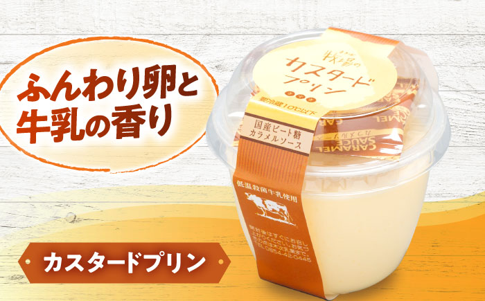 【全3回定期便】朝食やおやつに！プリン・ヨーグルト・ノンホモ牛乳 乳製品3種セット 島根県雲南市/木次乳業有限会社 [AIBH003]
