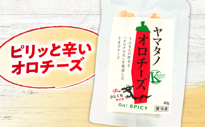 ヤマタノオロチーズ 1個 40g | チーズ 乳製品 人気 おすすめ 島根県雲南市/木次乳業有限会社 [AIBH020]